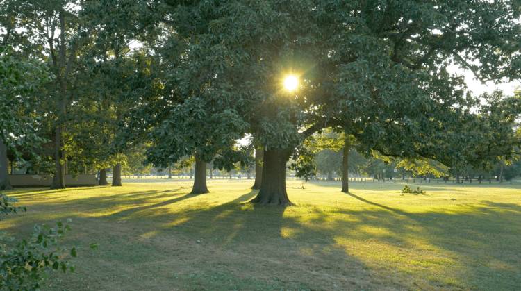 Knight Park Collingswood NJ image