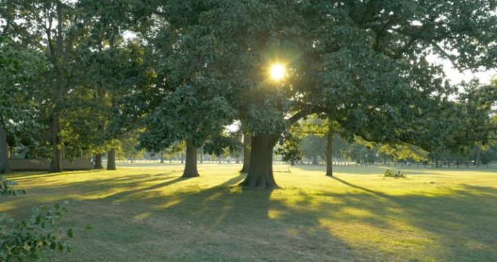 Knight Park Collingswood NJ image